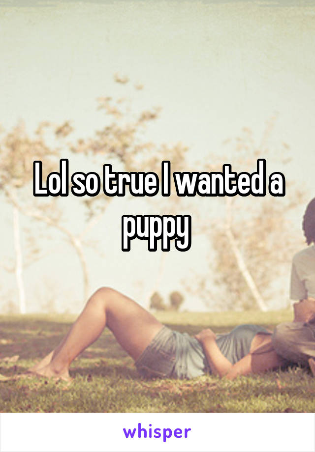 Lol so true I wanted a puppy 
