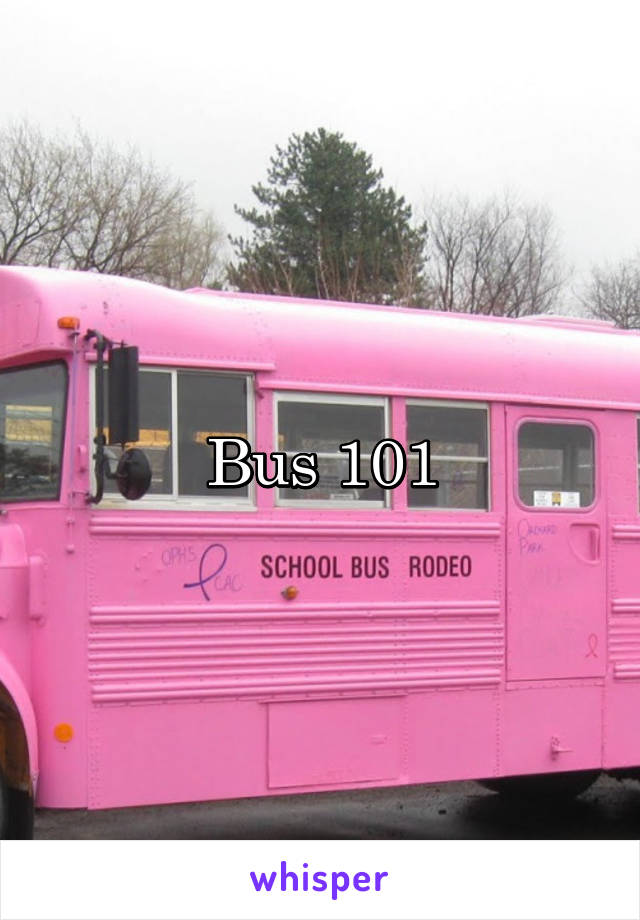 Bus 101