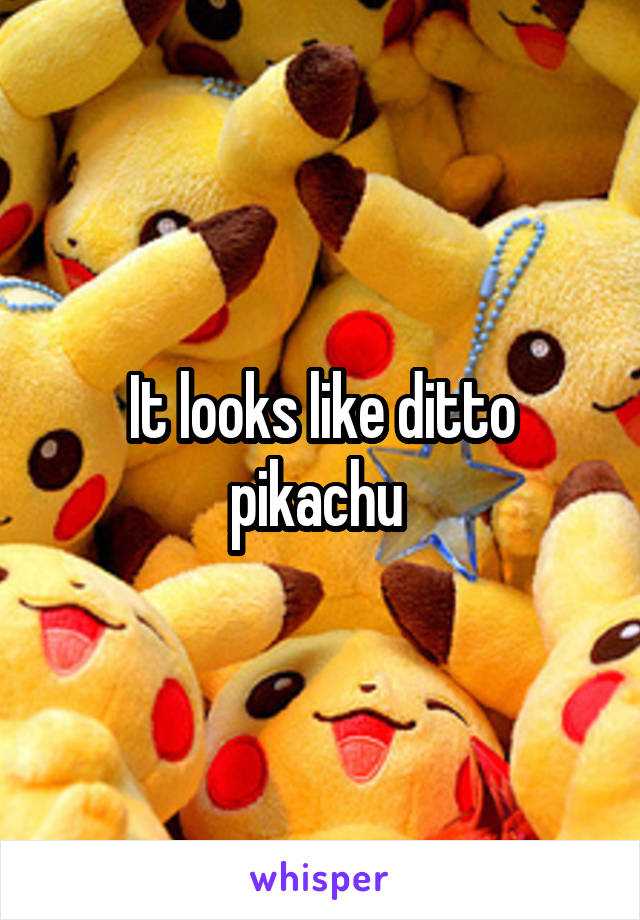 It looks like ditto pikachu 