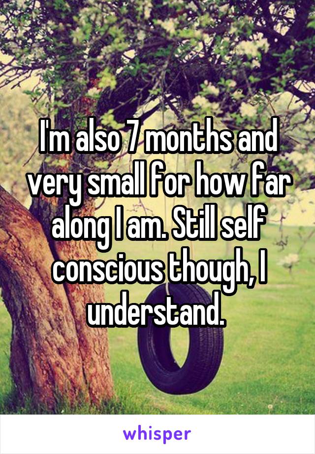 I'm also 7 months and very small for how far along I am. Still self conscious though, I understand. 