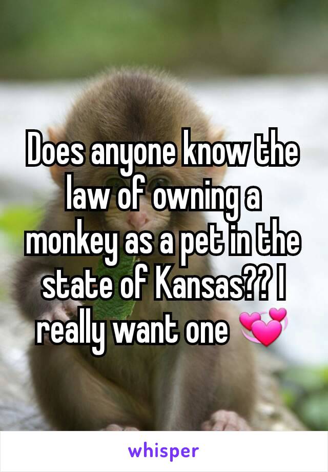 Does anyone know the law of owning a monkey as a pet in the state of Kansas?? I really want one 💞