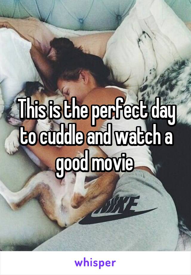 This is the perfect day to cuddle and watch a good movie 