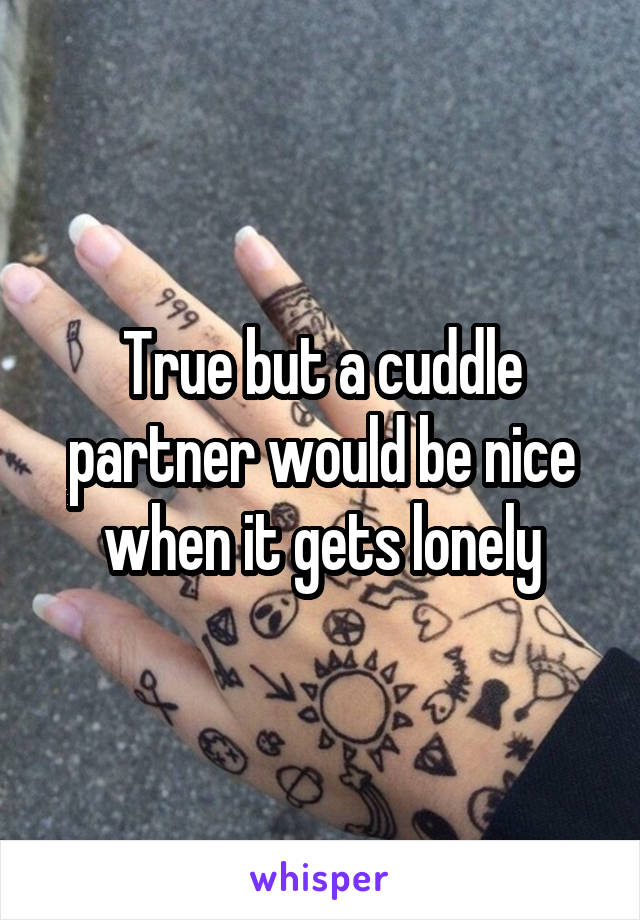 True but a cuddle partner would be nice when it gets lonely