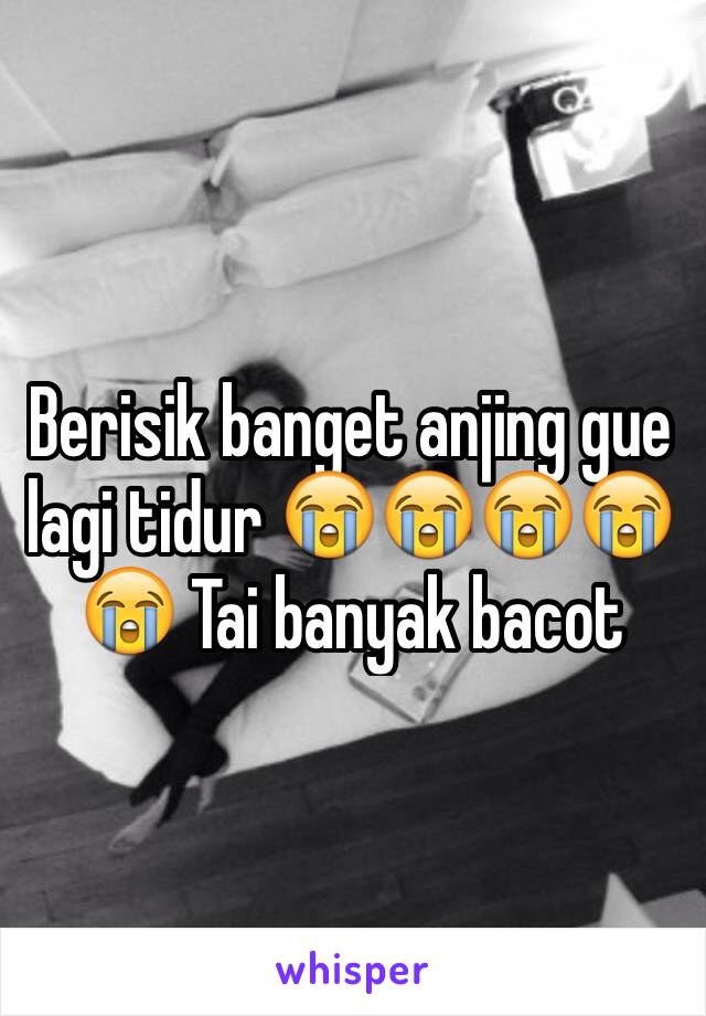 Berisik banget anjing gue lagi tidur 😭😭😭😭😭 Tai banyak bacot 