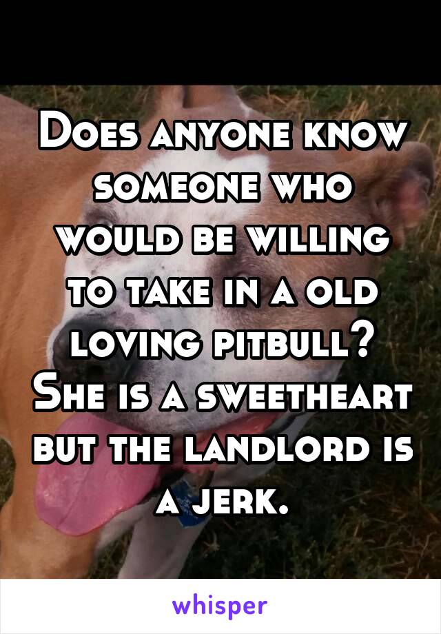 Does anyone know someone who would be willing to take in a old loving pitbull? She is a sweetheart but the landlord is a jerk.