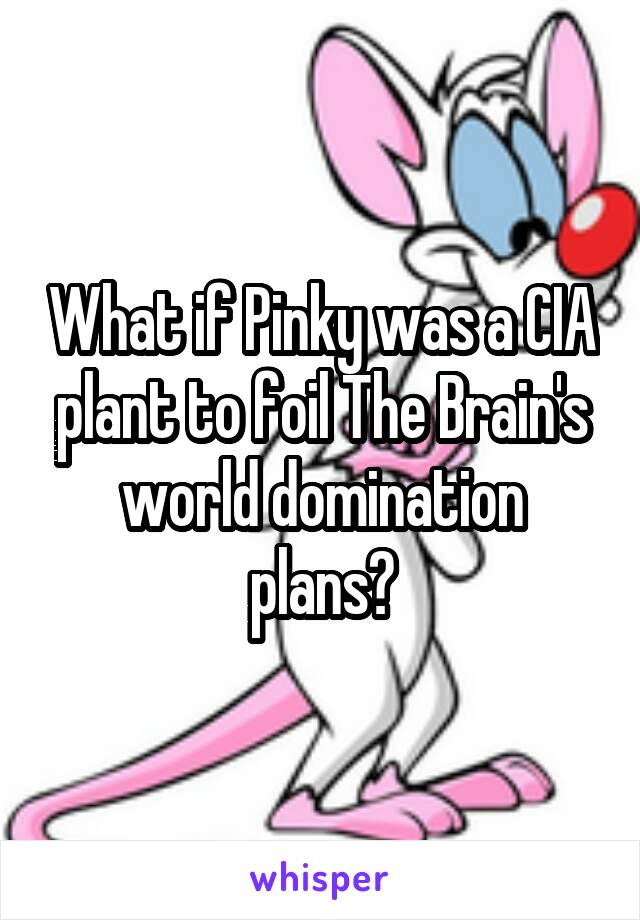 What if Pinky was a CIA plant to foil The Brain's world domination plans?