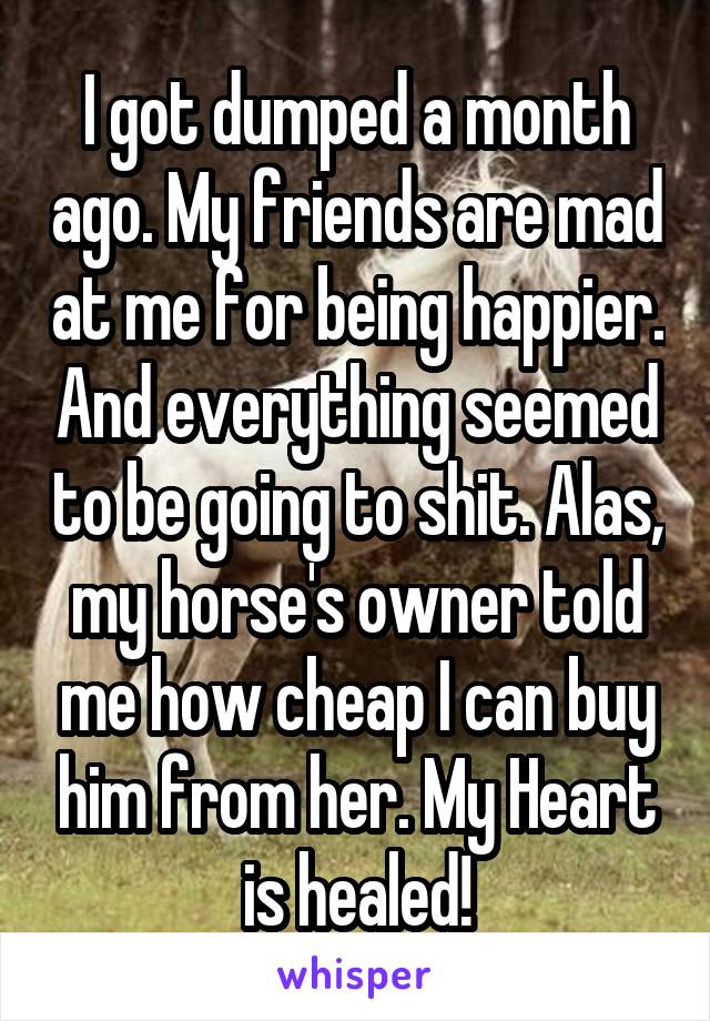 I got dumped a month ago. My friends are mad at me for being happier. And everything seemed to be going to shit. Alas, my horse's owner told me how cheap I can buy him from her. My Heart is healed!