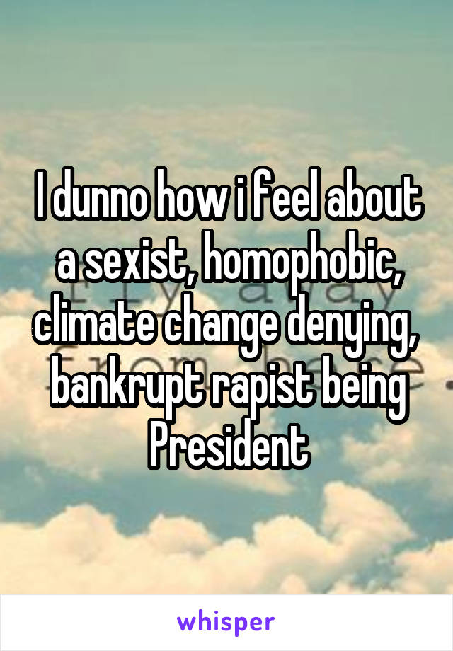 I dunno how i feel about a sexist, homophobic, climate change denying,  bankrupt rapist being President