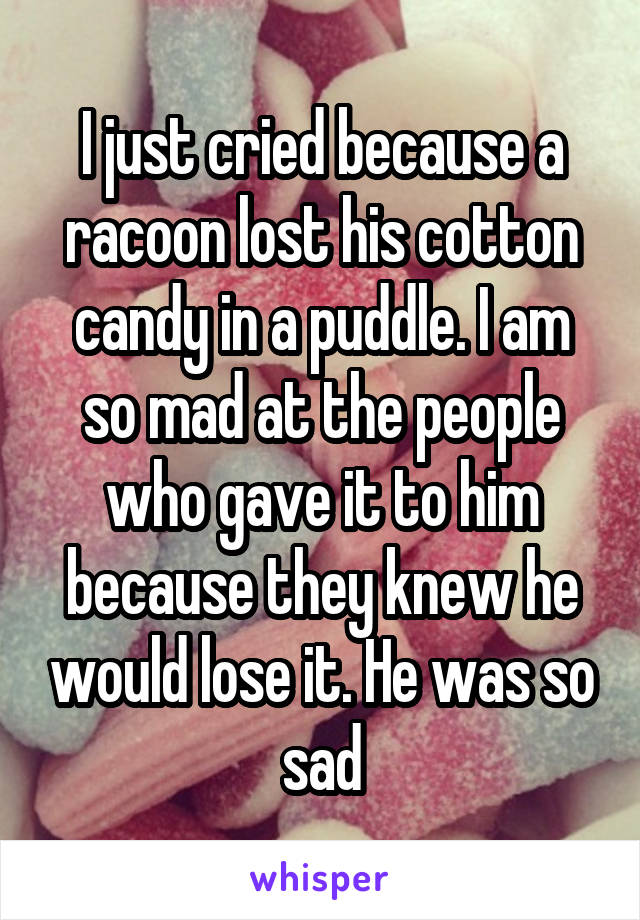 I just cried because a racoon lost his cotton candy in a puddle. I am so mad at the people who gave it to him because they knew he would lose it. He was so sad