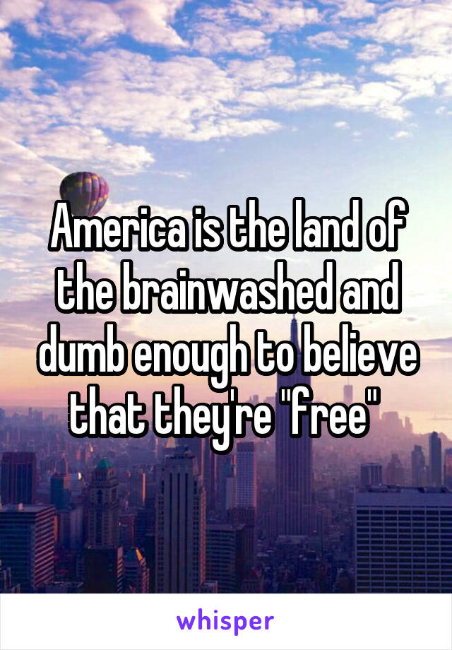 America is the land of the brainwashed and dumb enough to believe that they're "free" 