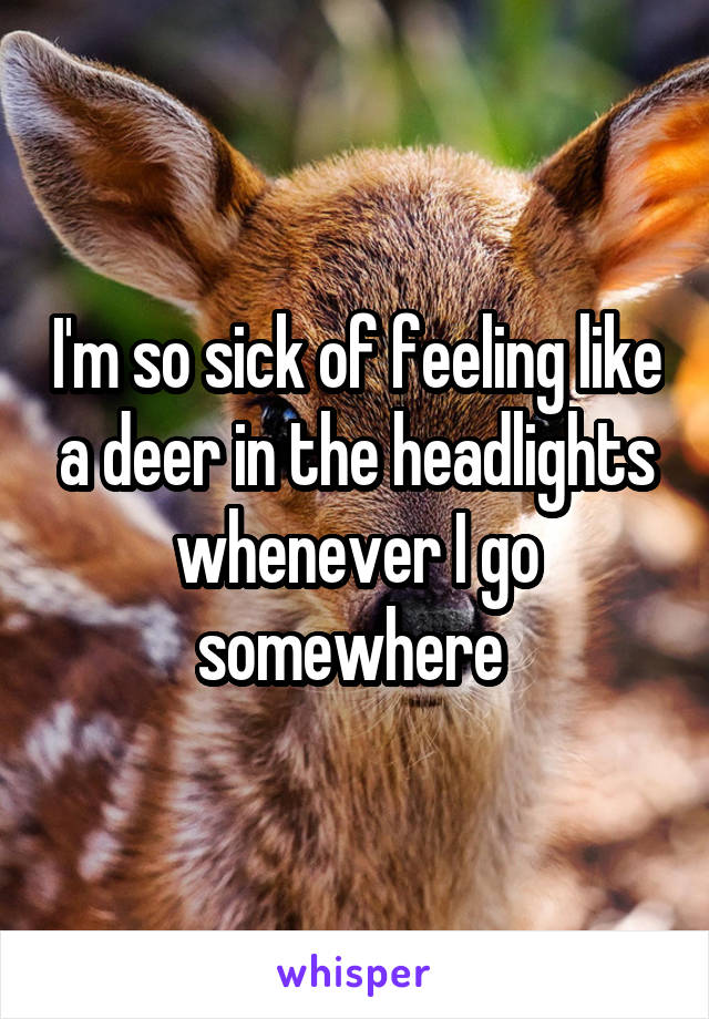 I'm so sick of feeling like a deer in the headlights whenever I go somewhere 
