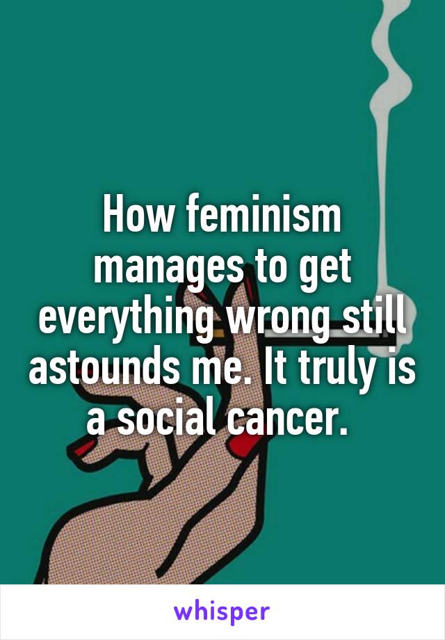 How feminism manages to get everything wrong still astounds me. It truly is a social cancer. 