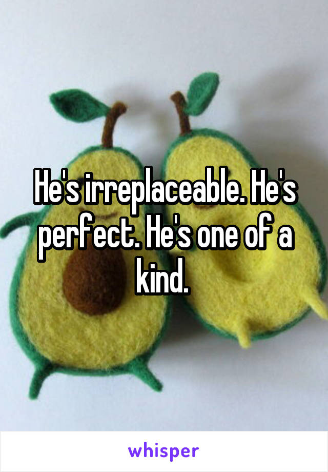 He's irreplaceable. He's perfect. He's one of a kind. 