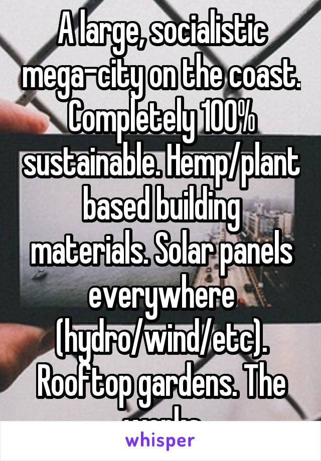 A large, socialistic mega-city on the coast. Completely 100% sustainable. Hemp/plant based building materials. Solar panels everywhere (hydro/wind/etc). Rooftop gardens. The works