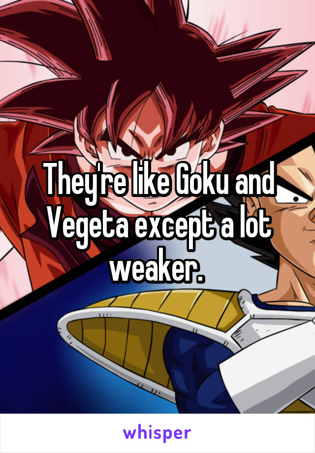 They're like Goku and Vegeta except a lot weaker. 