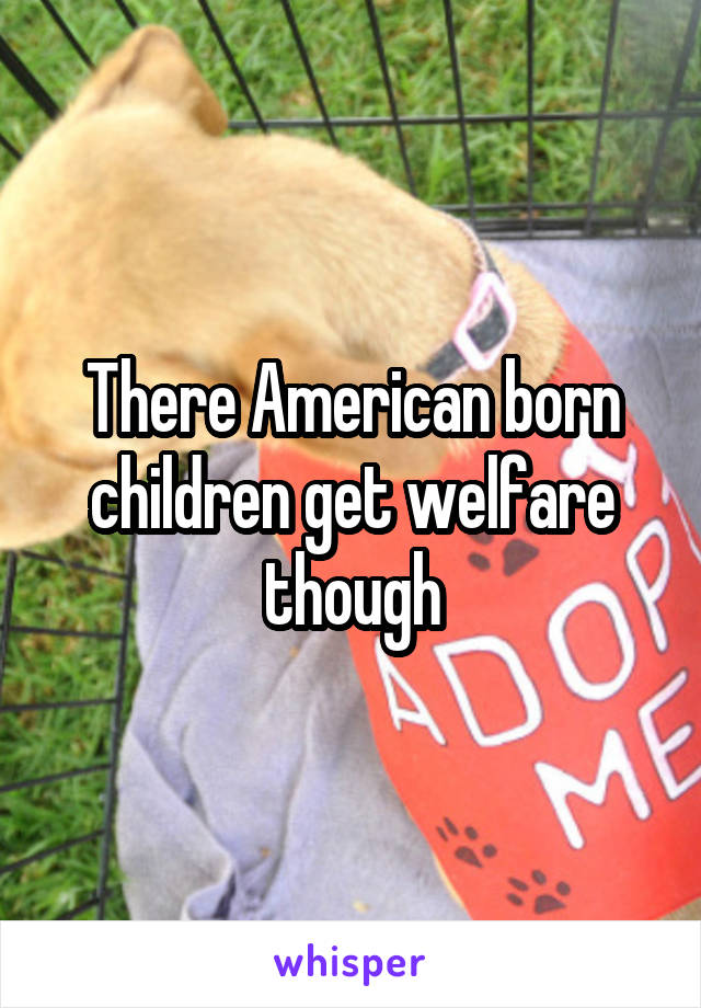 There American born children get welfare though