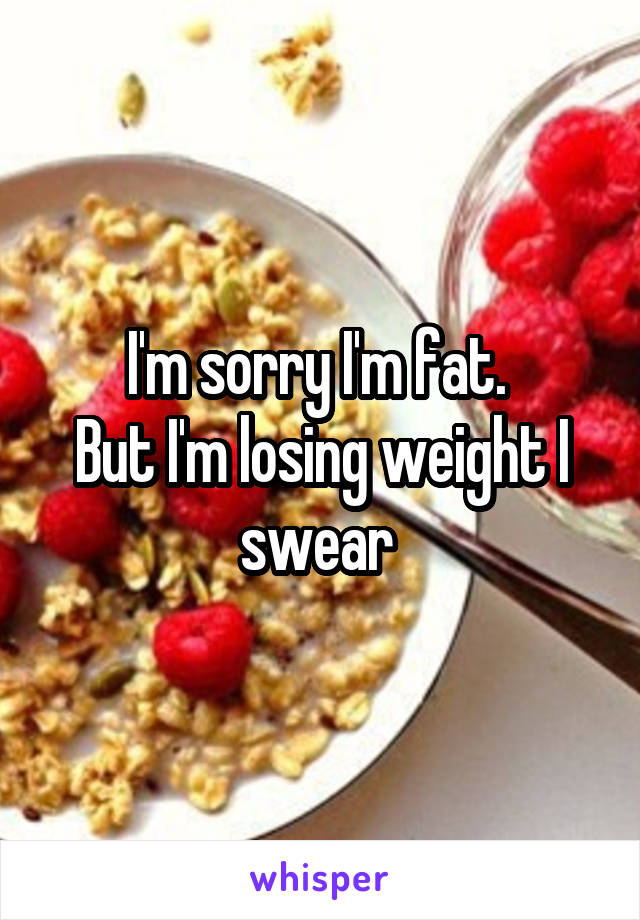 I'm sorry I'm fat. 
But I'm losing weight I swear 