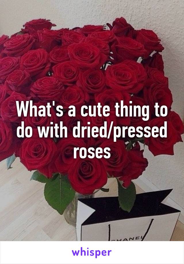 What's a cute thing to do with dried/pressed roses