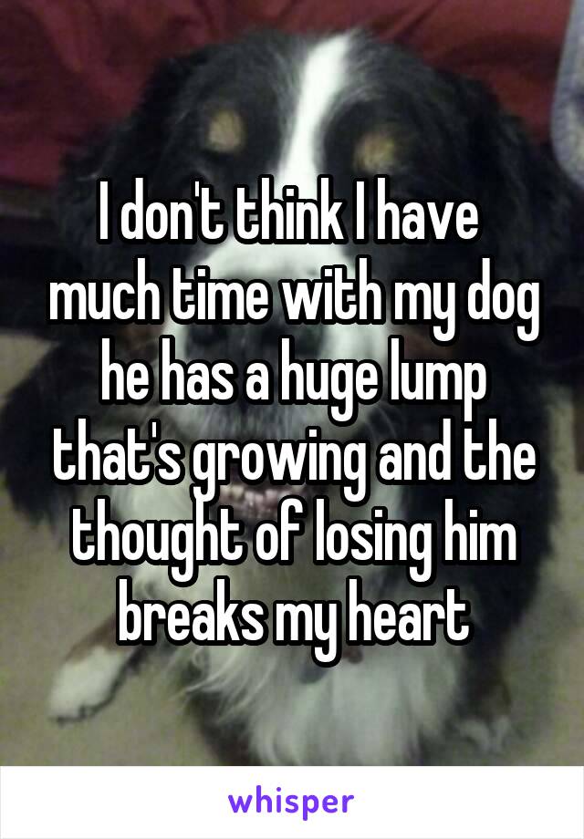 I don't think I have  much time with my dog he has a huge lump that's growing and the thought of losing him breaks my heart