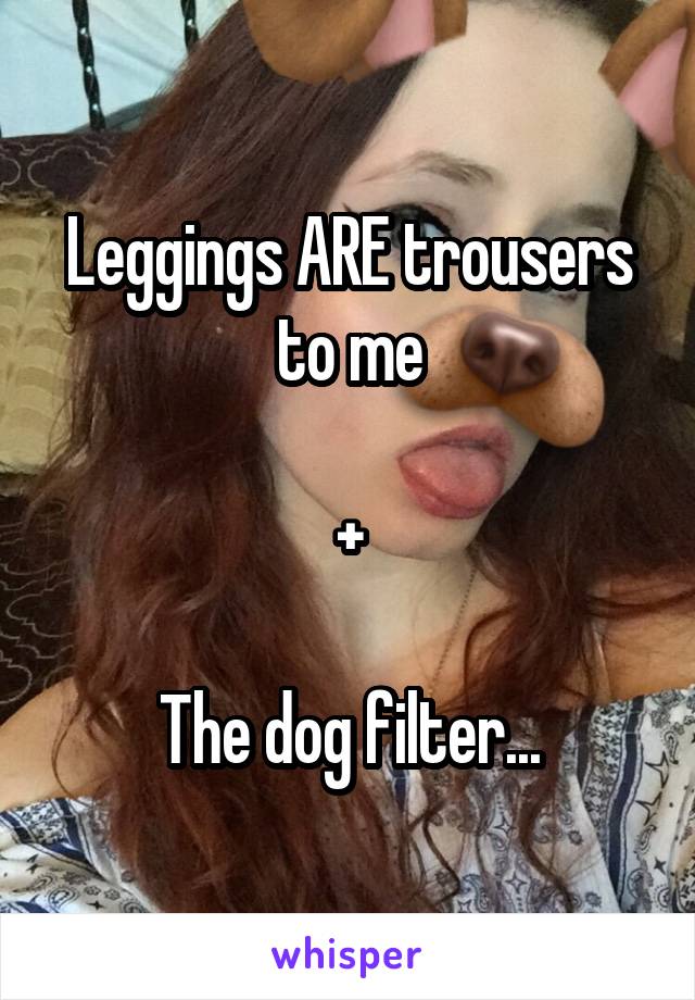Leggings ARE trousers to me

+

The dog filter...