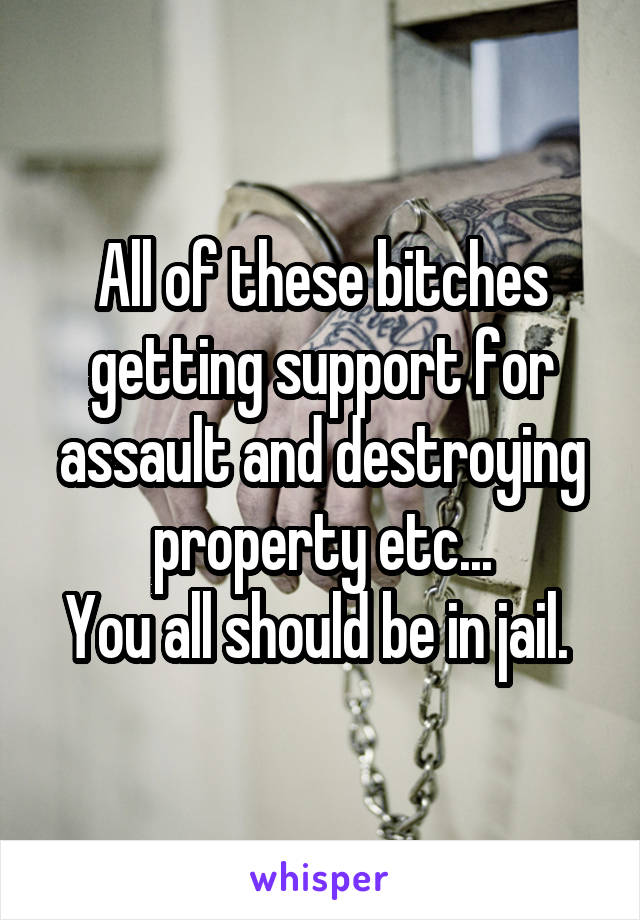 All of these bitches getting support for assault and destroying property etc...
You all should be in jail. 
