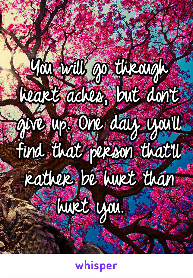 You will go through heart aches, but don't give up. One day you'll find that person that'll rather be hurt than hurt you.  