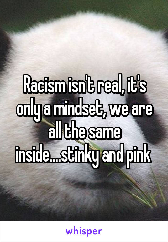 Racism isn't real, it's only a mindset, we are all the same inside....stinky and pink 