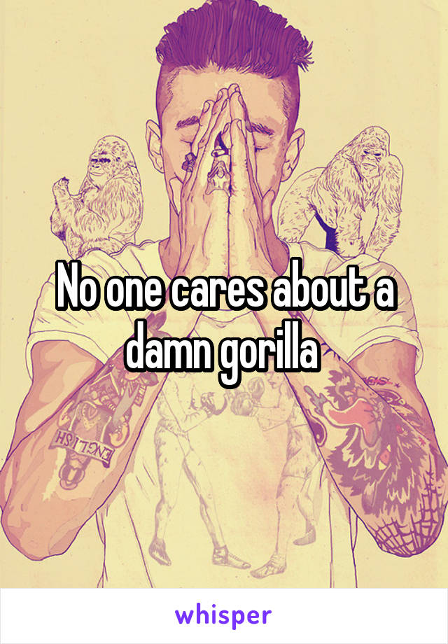 No one cares about a damn gorilla 