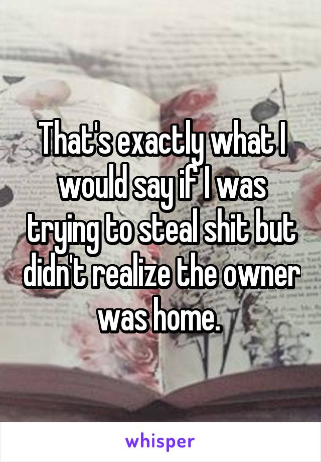 That's exactly what I would say if I was trying to steal shit but didn't realize the owner was home. 