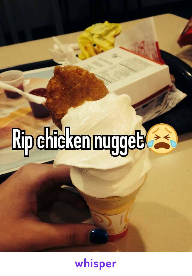 Rip chicken nugget😭