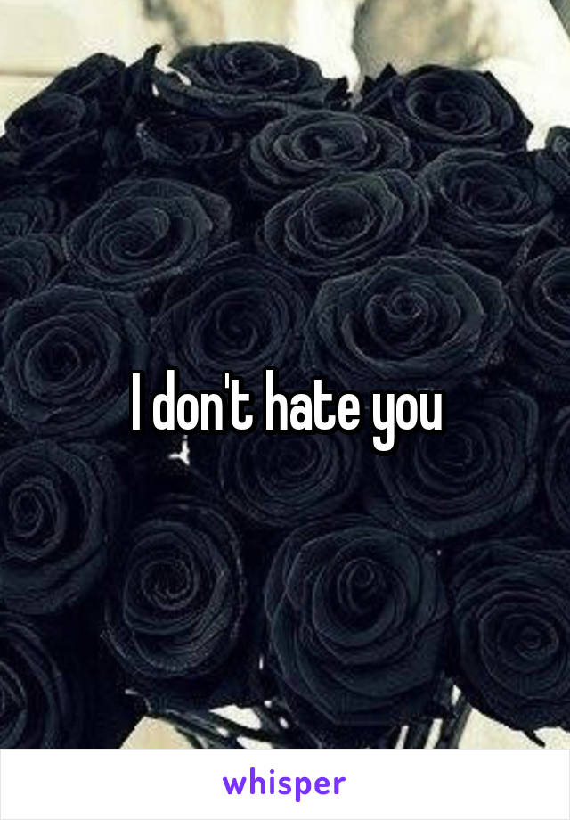 I don't hate you