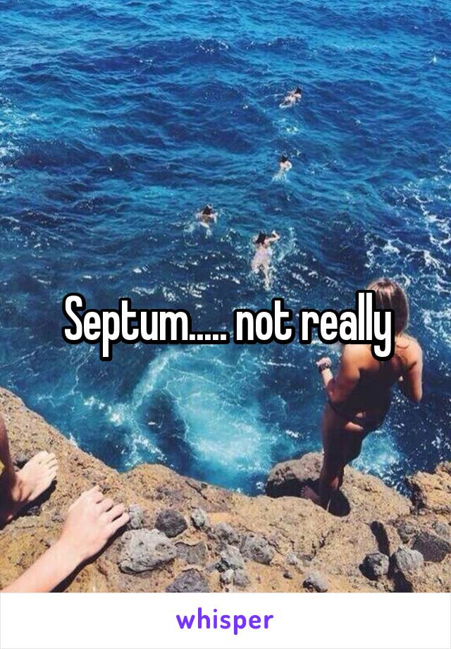 Septum..... not really