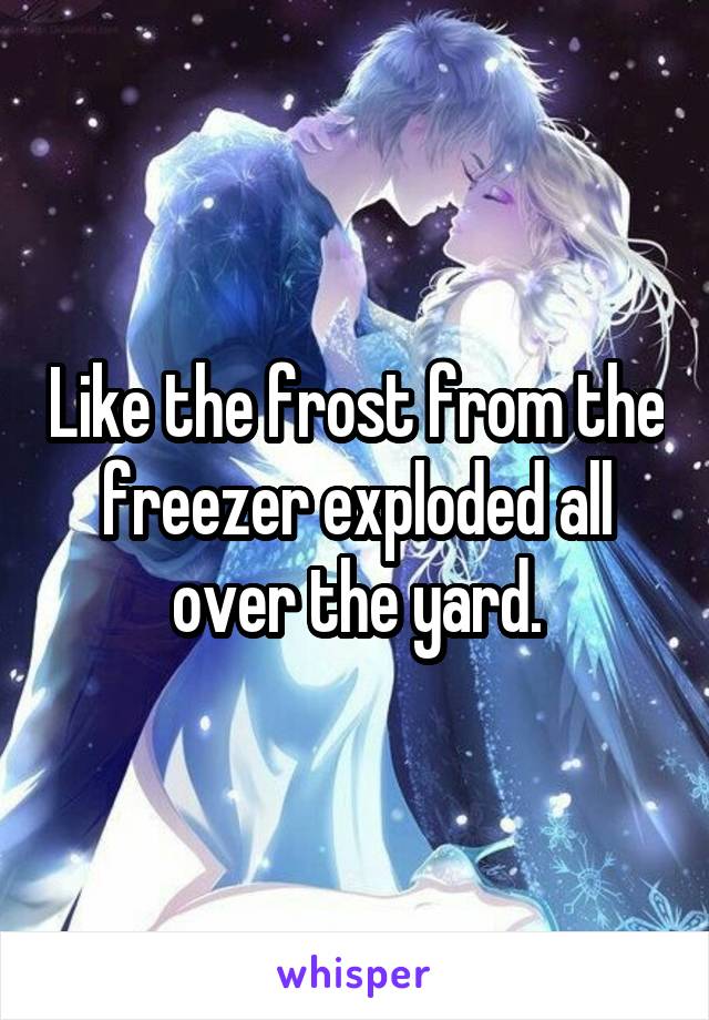 Like the frost from the freezer exploded all over the yard.