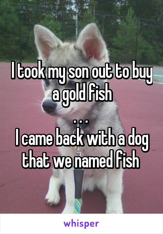 I took my son out to buy a gold fish
. . . 
I came back with a dog that we named fish 