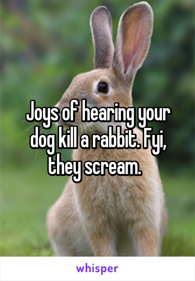 Joys of hearing your dog kill a rabbit. Fyi, they scream.  