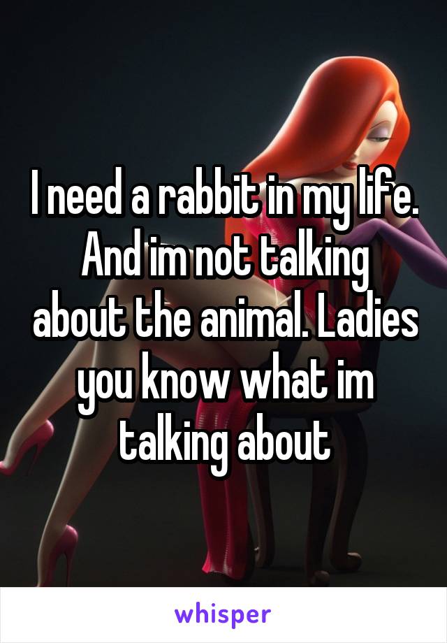 I need a rabbit in my life. And im not talking about the animal. Ladies you know what im talking about