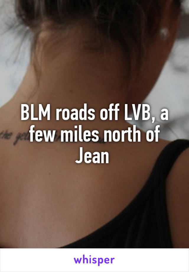 BLM roads off LVB, a few miles north of Jean 