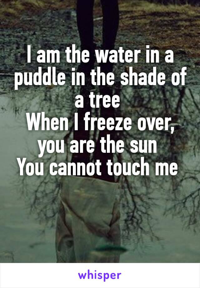 I am the water in a puddle in the shade of a tree 
When I freeze over, you are the sun 
You cannot touch me 
 