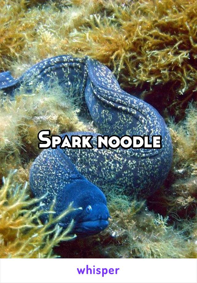 Spark noodle