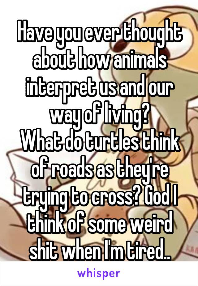 Have you ever thought about how animals interpret us and our way of living?
What do turtles think of roads as they're trying to cross? God I think of some weird shit when I'm tired..