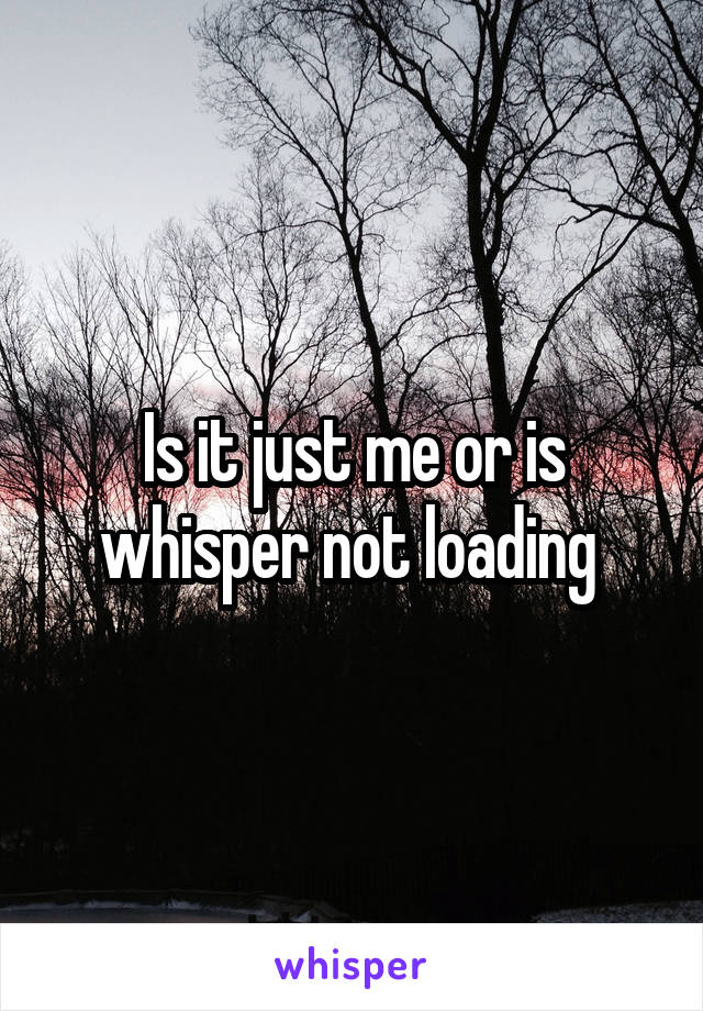 Is it just me or is whisper not loading 