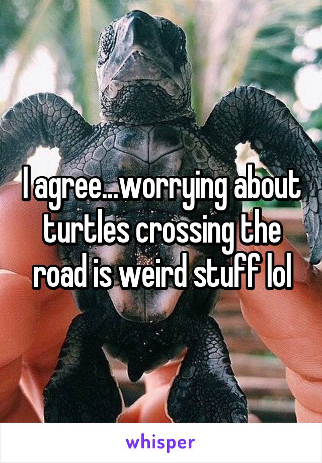 I agree...worrying about turtles crossing the road is weird stuff lol