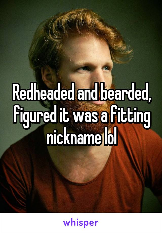 Redheaded and bearded, figured it was a fitting nickname lol