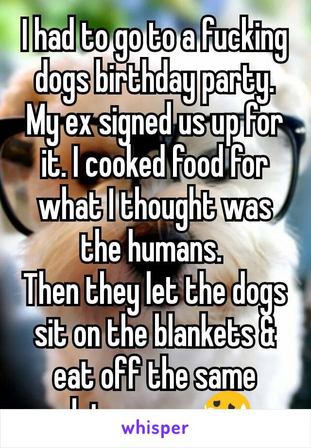 I had to go to a fucking dogs birthday party. My ex signed us up for it. I cooked food for what I thought was the humans. 
Then they let the dogs sit on the blankets & eat off the same plates as us😷