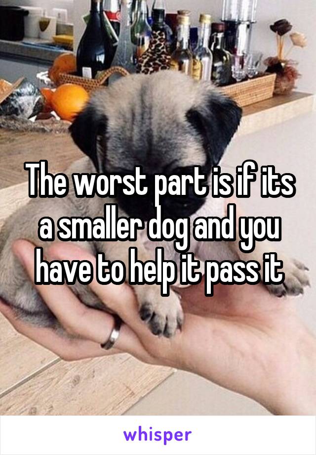 The worst part is if its a smaller dog and you have to help it pass it