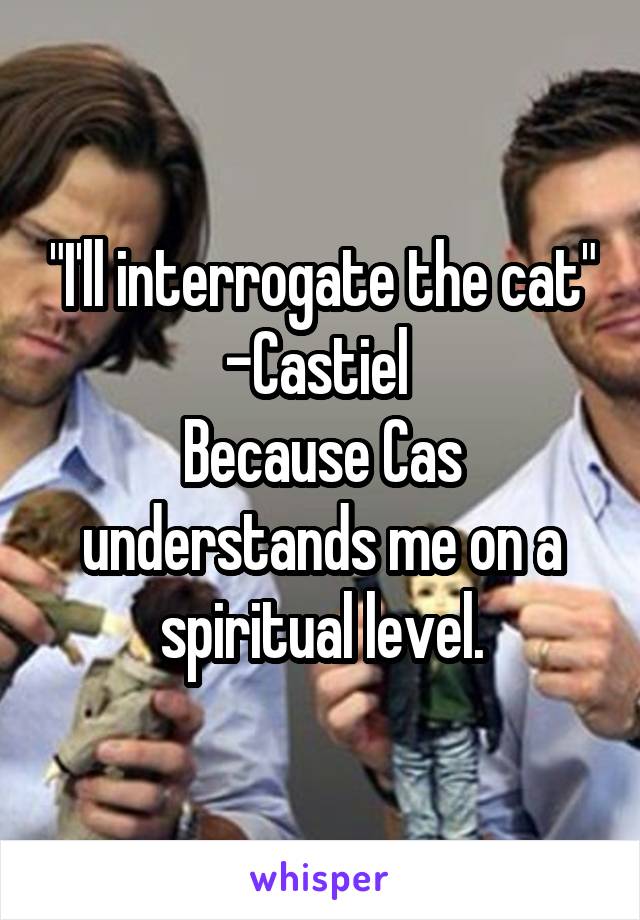 "I'll interrogate the cat" -Castiel 
Because Cas understands me on a spiritual level.