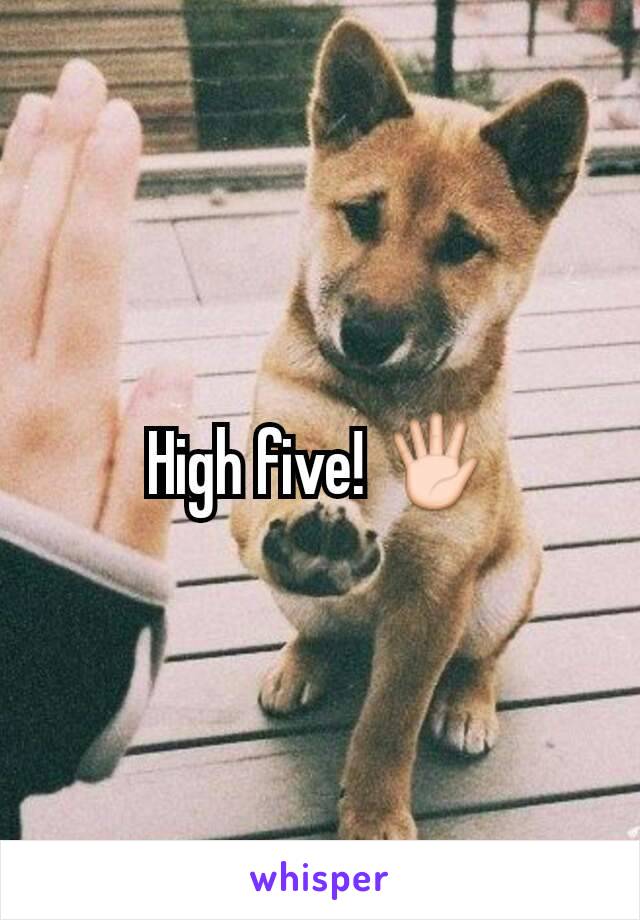 High five! 🖐