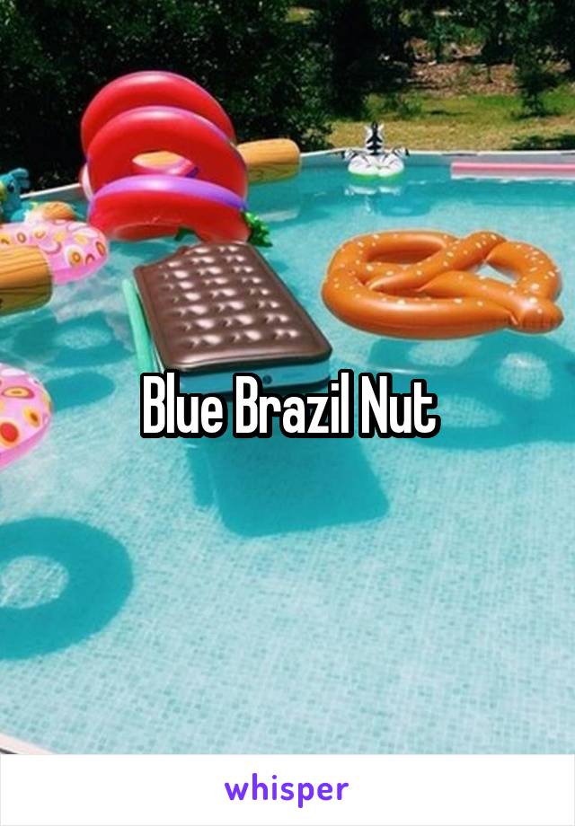 Blue Brazil Nut