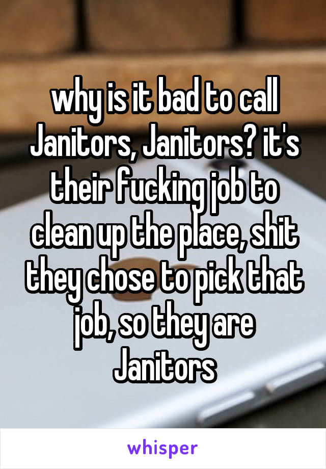 why is it bad to call Janitors, Janitors? it's their fucking job to clean up the place, shit they chose to pick that job, so they are Janitors