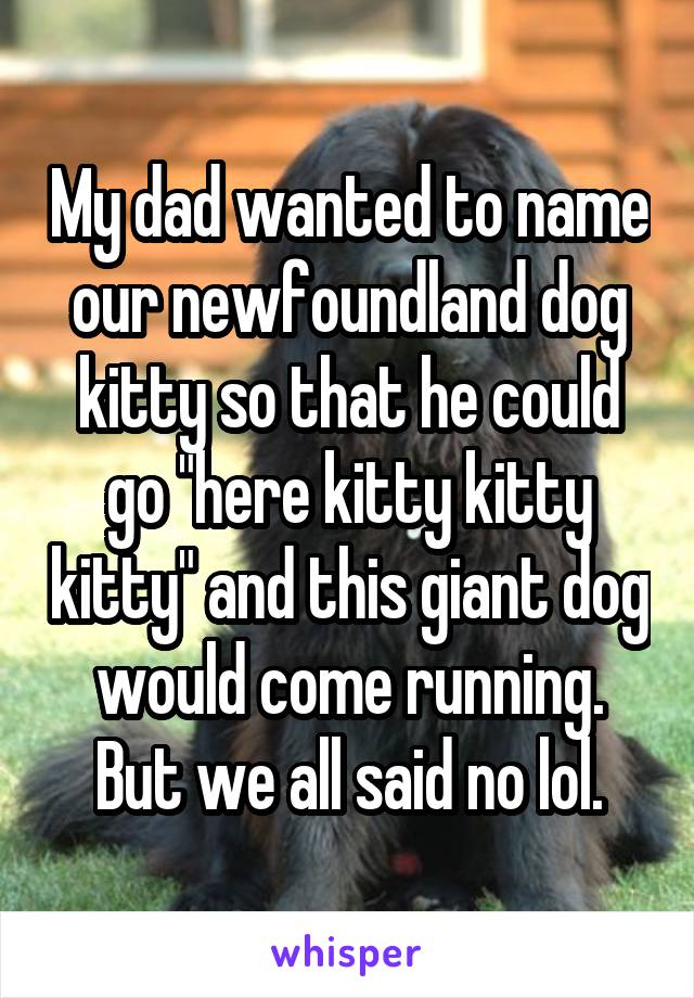 My dad wanted to name our newfoundland dog kitty so that he could go "here kitty kitty kitty" and this giant dog would come running. But we all said no lol.